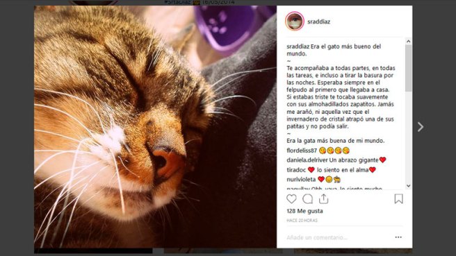 Copia de instagram de un post diario sobre mi gato